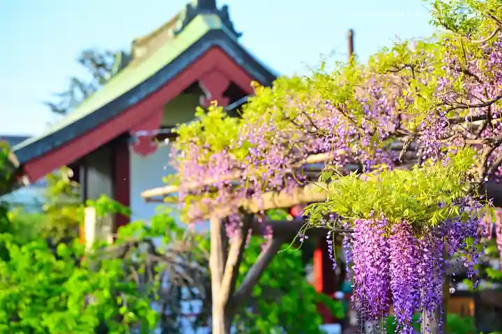 亀戸天神社(東京都)