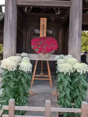 明治神宮(東京都)