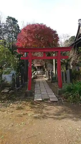 金蔵寺の鳥居