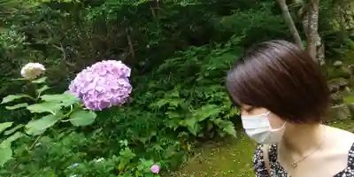 清水寺(京都府)