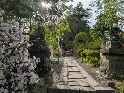 豊景神社の{uncategorized: "未分類", other: "その他", undefined: "問題あり", building: "その他建物", grave: "お墓", sacred_gate: "鳥居", guardian: "狛犬", statue: "像", buddha: "仏像", history: "歴史", nature: "自然", garden: "庭園", animal: "動物", pagoda: "塔", temizu: "手水舎", mountain_gate: "山門・神門", sanctuary: "本殿・本堂", subordinate: "末社・摂社", art: "芸術", scenery: "景色", jizo: "地蔵", ema: "絵馬", goshuin: "御朱印", omikuji: "おみくじ", items: "授与品その他", amulet: "お守り", goshuincho: "御朱印帳", eats: "食事", festival: "お祭り", votive_dance: "神楽", shichigosan: "七五三参", wedding: "結婚式", experience: "体験その他", initially: "初詣", around: "周辺", anti_infection: "感染症対策"}