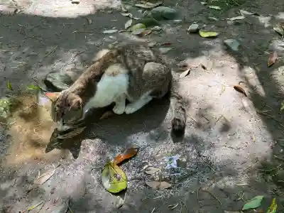 安牧神社(熊本県)