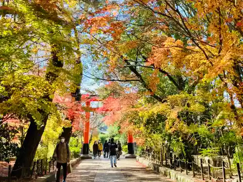 宇治上神社の鳥居