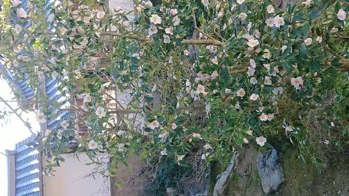 興聖寺(興聖寶林禅寺)(京都府)