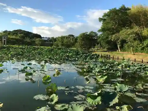 牟禮山観音禅寺の庭園