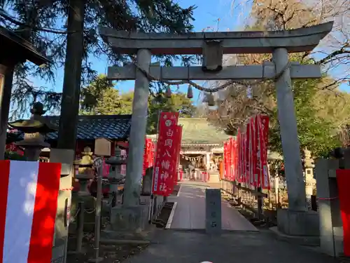 白岡八幡神社(埼玉県)