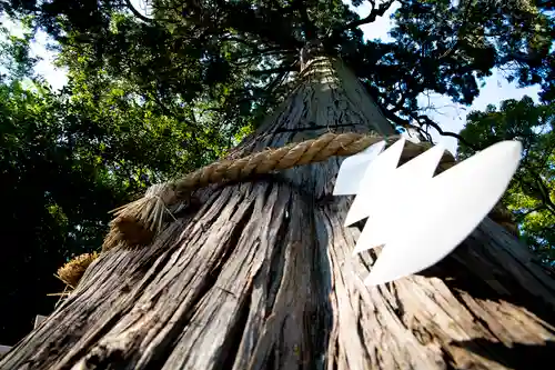 石鎚神社 口之宮 本社の自然