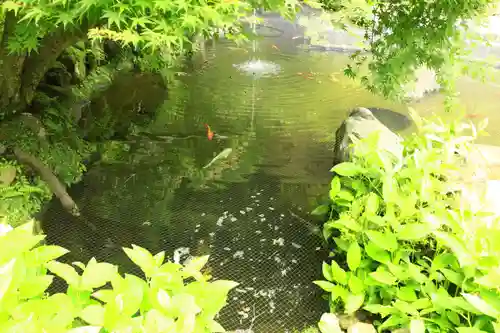 報国寺(神奈川県)