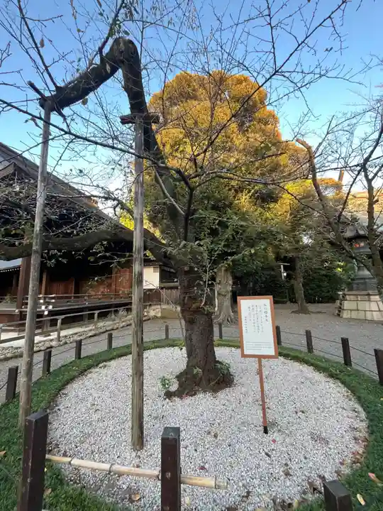 靖國神社(東京都)