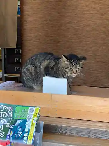 所澤神明社の動物