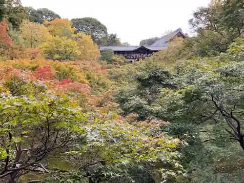 東福禅寺（東福寺）(京都府)