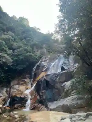 大頭神社の{uncategorized: "未分類", other: "その他", undefined: "問題あり", building: "その他建物", grave: "お墓", sacred_gate: "鳥居", guardian: "狛犬", statue: "像", buddha: "仏像", history: "歴史", nature: "自然", garden: "庭園", animal: "動物", pagoda: "塔", temizu: "手水舎", mountain_gate: "山門・神門", sanctuary: "本殿・本堂", subordinate: "末社・摂社", art: "芸術", scenery: "景色", jizo: "地蔵", ema: "絵馬", goshuin: "御朱印", omikuji: "おみくじ", items: "授与品その他", amulet: "お守り", goshuincho: "御朱印帳", eats: "食事", festival: "お祭り", votive_dance: "神楽", shichigosan: "七五三参", wedding: "結婚式", experience: "体験その他", initially: "初詣", around: "周辺", anti_infection: "感染症対策"}
