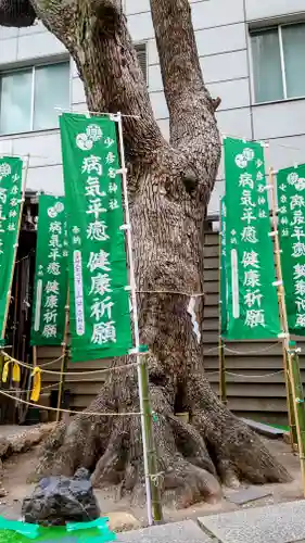 少彦名神社(大阪府)