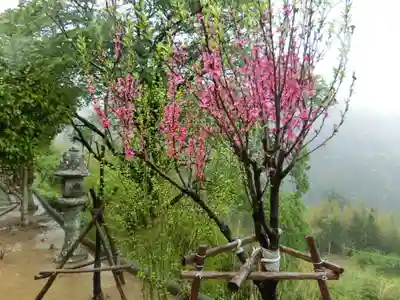 青岸渡寺(和歌山県)