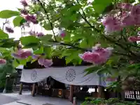 阿佐ヶ谷神明宮(東京都)