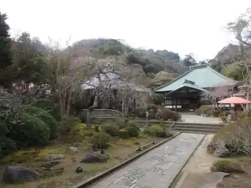 海蔵寺の景色