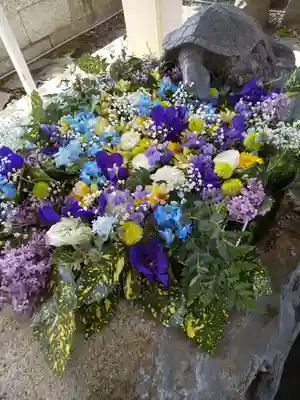 杉杜白髭神社(福井県)