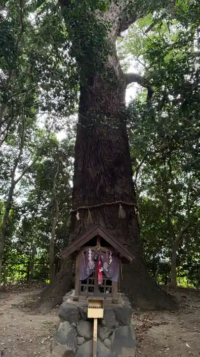 雙栗神社(京都府)
