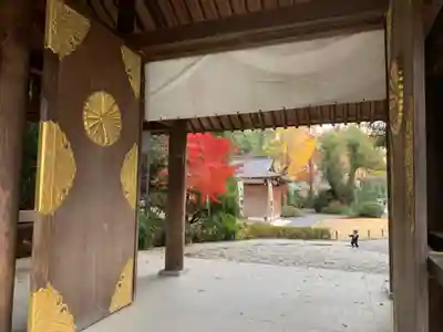 阿佐ヶ谷神明宮のその他建物