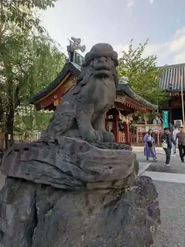 浅草神社の狛犬