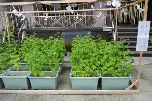 鷲神社(東京都)
