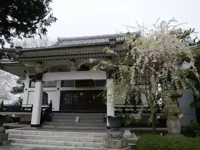 行善寺の本殿・本堂