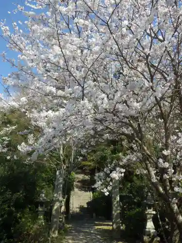 金切神社(山口県)