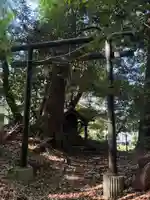 神社(名称不明)(千葉県)
