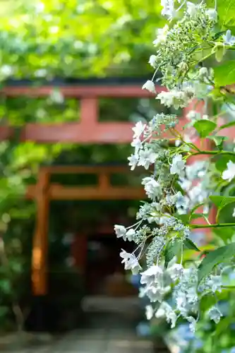 平野神社(京都府)