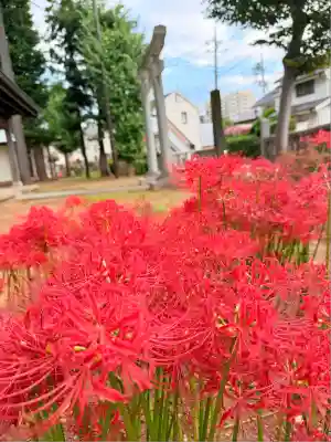 小野神社(東京都)