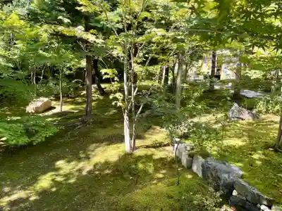 勝林寺(京都府)