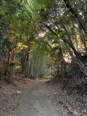 熊野神社(千葉県)