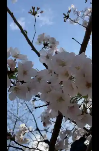寛永寺不忍池弁天堂の{uncategorized: "未分類", other: "その他", undefined: "問題あり", building: "その他建物", grave: "お墓", sacred_gate: "鳥居", guardian: "狛犬", statue: "像", buddha: "仏像", history: "歴史", nature: "自然", garden: "庭園", animal: "動物", pagoda: "塔", temizu: "手水舎", mountain_gate: "山門・神門", sanctuary: "本殿・本堂", subordinate: "末社・摂社", art: "芸術", scenery: "景色", jizo: "地蔵", ema: "絵馬", goshuin: "御朱印", omikuji: "おみくじ", items: "授与品その他", amulet: "お守り", goshuincho: "御朱印帳", eats: "食事", festival: "お祭り", votive_dance: "神楽", shichigosan: "七五三参", wedding: "結婚式", experience: "体験その他", initially: "初詣", around: "周辺", anti_infection: "感染症対策"}