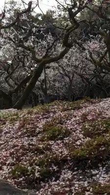 北野天満宮(京都府)