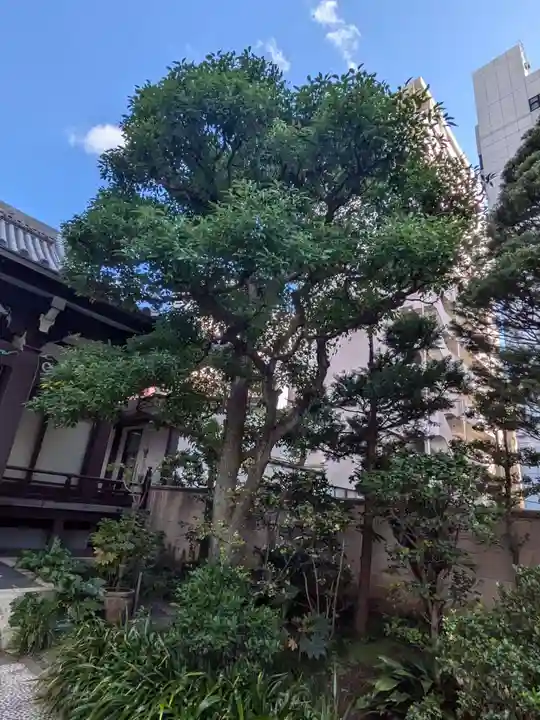 善照寺(東京都)