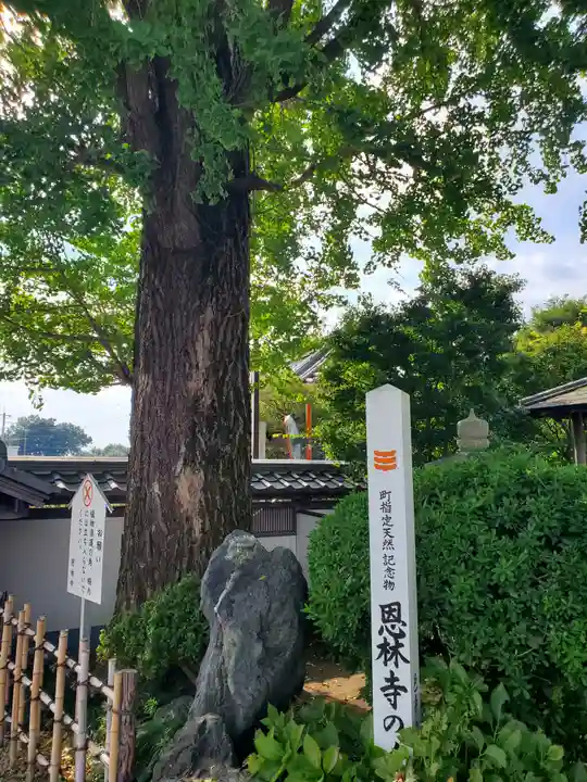 恩林寺のその他建物