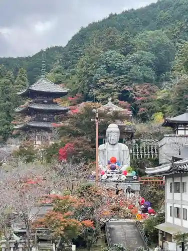 南法華寺（壷阪寺）(奈良県)
