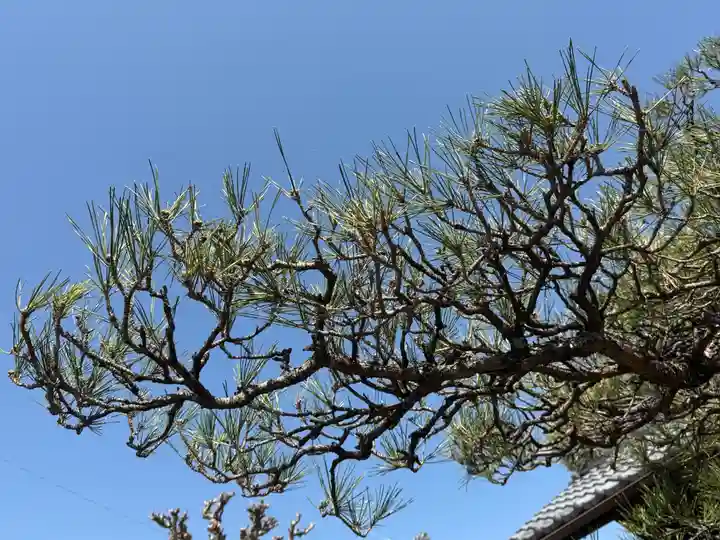 西方山極楽寺(岐阜県)
