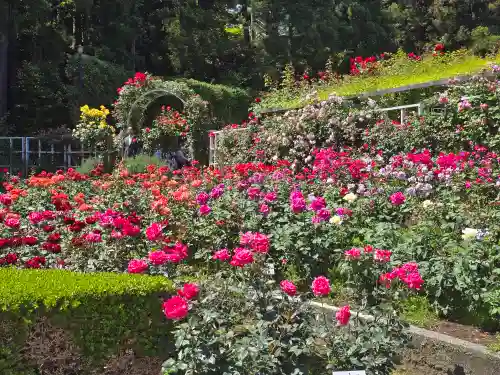 霊山寺(奈良県)