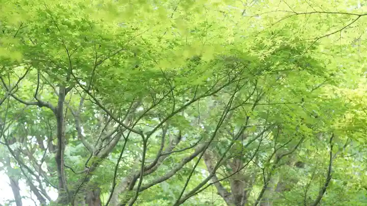 相国寺(相国承天禅寺)(京都府)