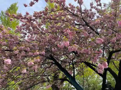 靖國神社の自然