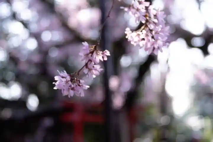 水火天満宮(京都府)