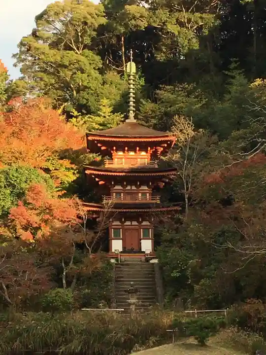 浄瑠璃寺のその他建物