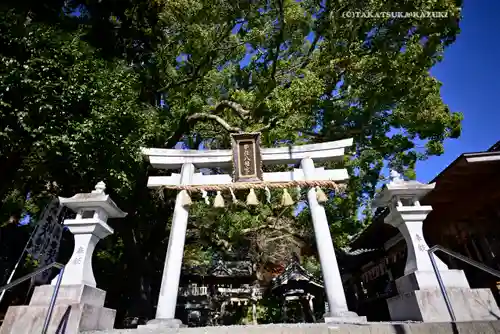 事任八幡宮の鳥居