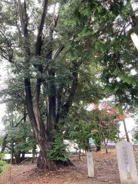 能見神明宮(元能見)(愛知県)