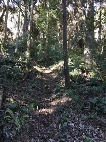 佐志能神社の自然