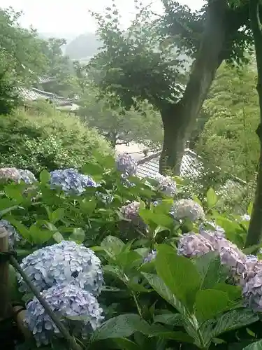 長谷寺のその他建物