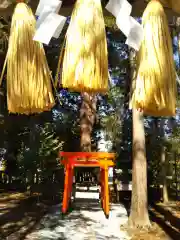 甲斐國一宮 浅間神社の鳥居