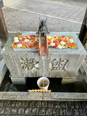 川越八幡宮の{uncategorized: "未分類", other: "その他", undefined: "問題あり", building: "その他建物", grave: "お墓", sacred_gate: "鳥居", guardian: "狛犬", statue: "像", buddha: "仏像", history: "歴史", nature: "自然", garden: "庭園", animal: "動物", pagoda: "塔", temizu: "手水舎", mountain_gate: "山門・神門", sanctuary: "本殿・本堂", subordinate: "末社・摂社", art: "芸術", scenery: "景色", jizo: "地蔵", ema: "絵馬", goshuin: "御朱印", omikuji: "おみくじ", items: "授与品その他", amulet: "お守り", goshuincho: "御朱印帳", eats: "食事", festival: "お祭り", votive_dance: "神楽", shichigosan: "七五三参", wedding: "結婚式", experience: "体験その他", initially: "初詣", around: "周辺", anti_infection: "感染症対策"}