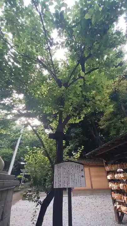 小金井神社(東京都)
